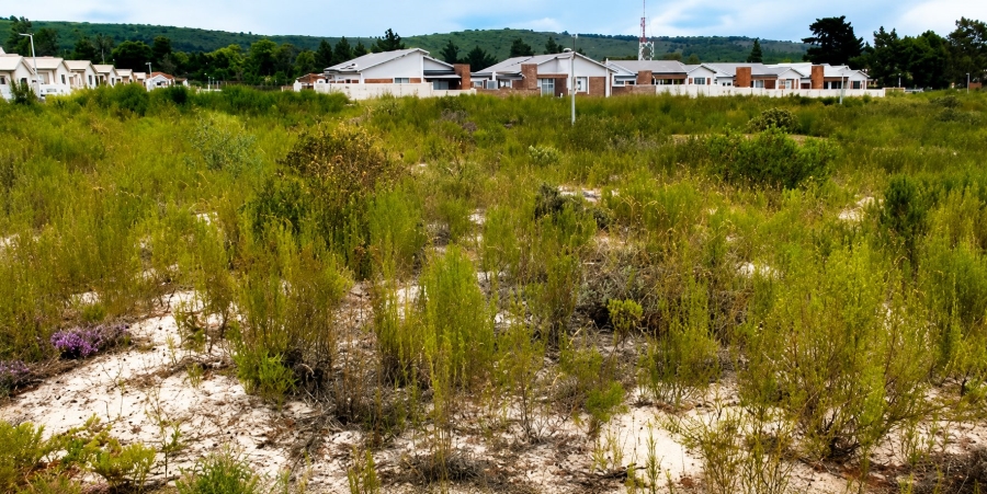 Commercial Property for Sale in Albertinia Western Cape